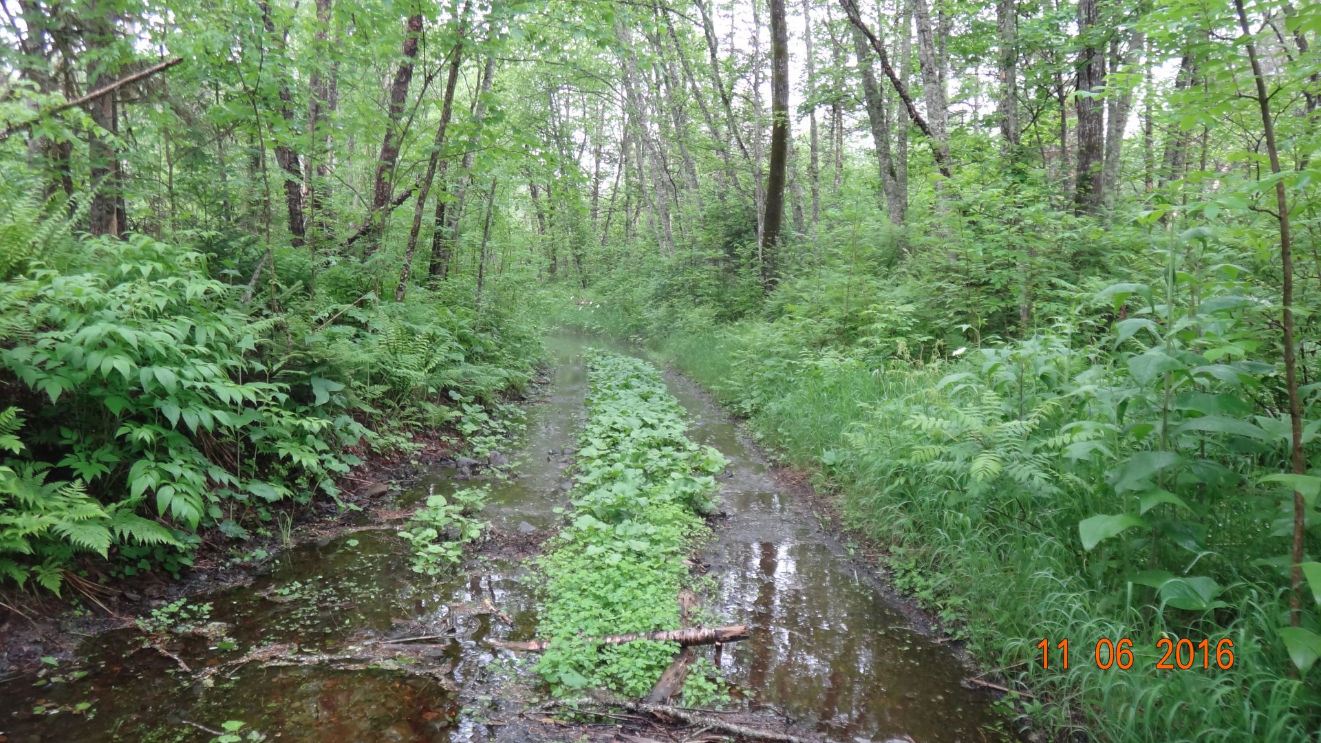 DSC03383.JPG