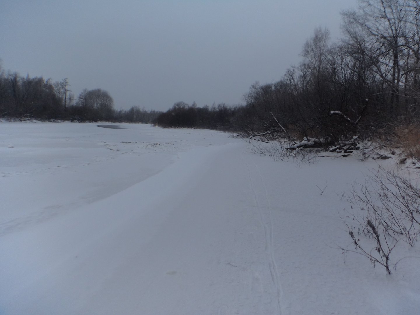 DSC03401.JPG