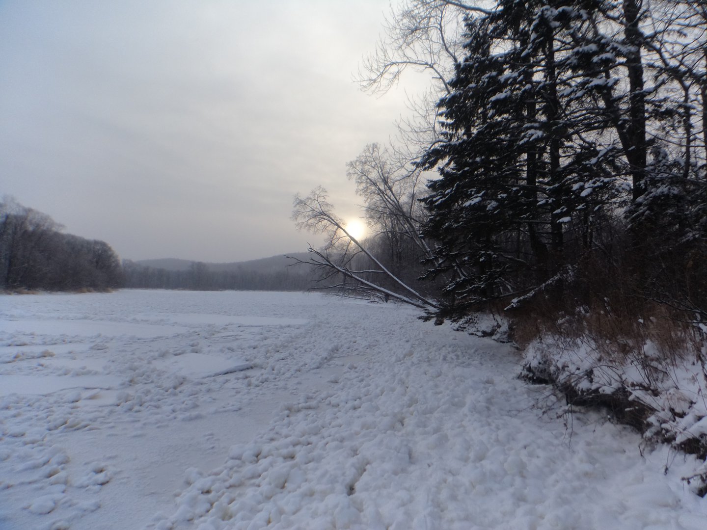 DSC03415.JPG