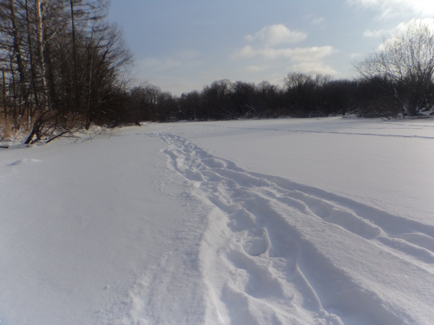 DSC03428.JPG
