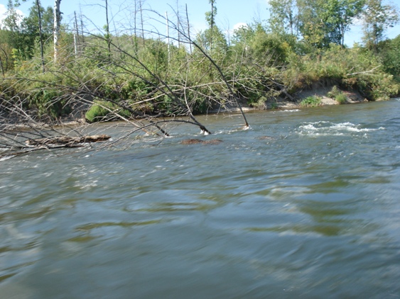 DSC03430.JPG