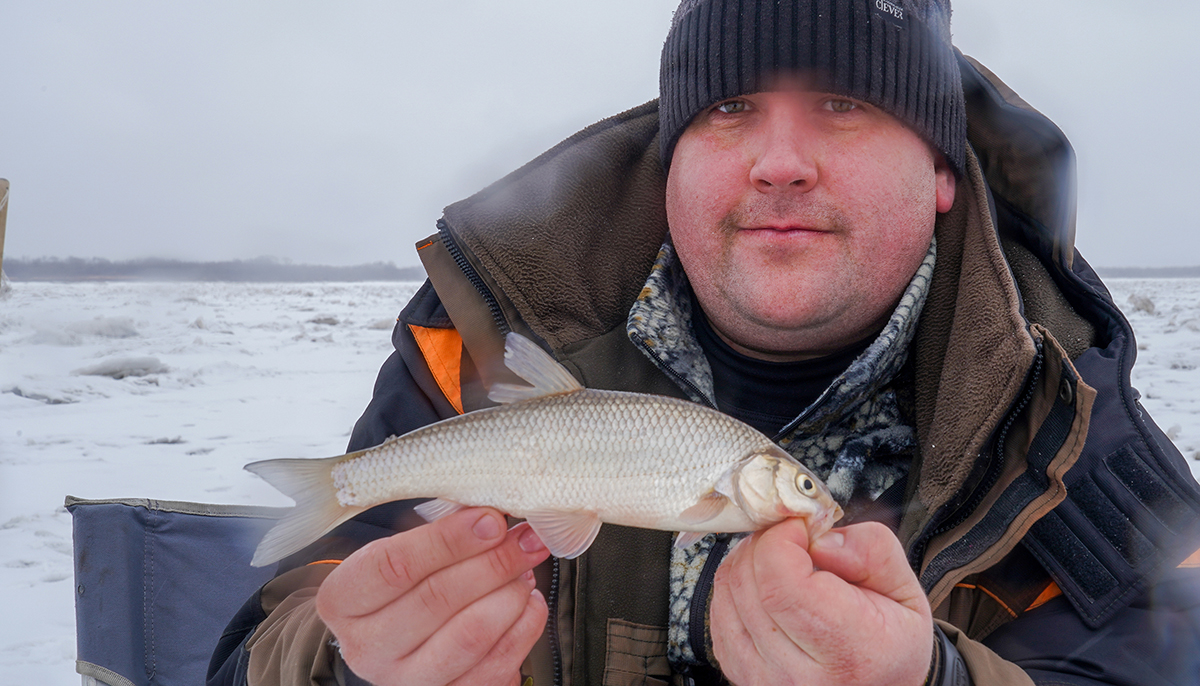 DSC03445_1200.jpg