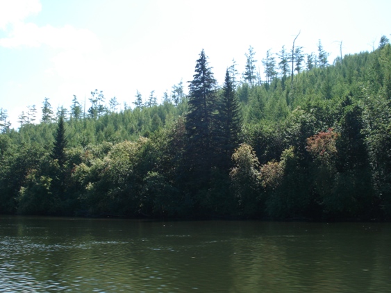 DSC03456.JPG