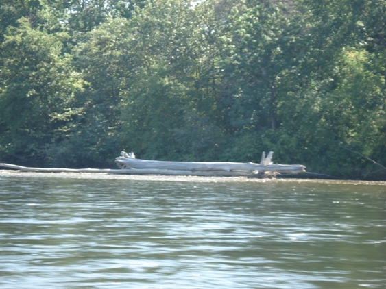 DSC03457.JPG