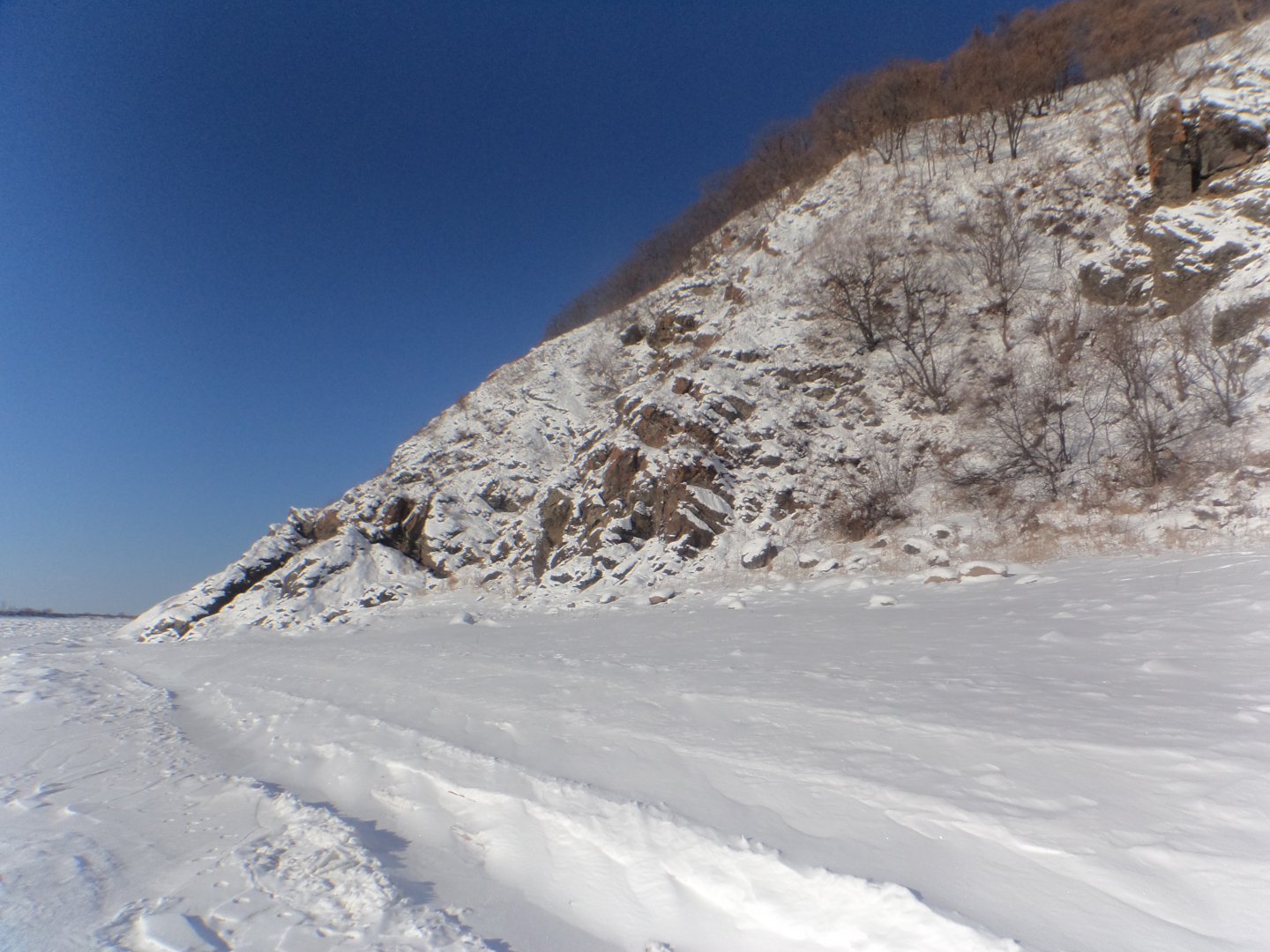 DSC03484.JPG