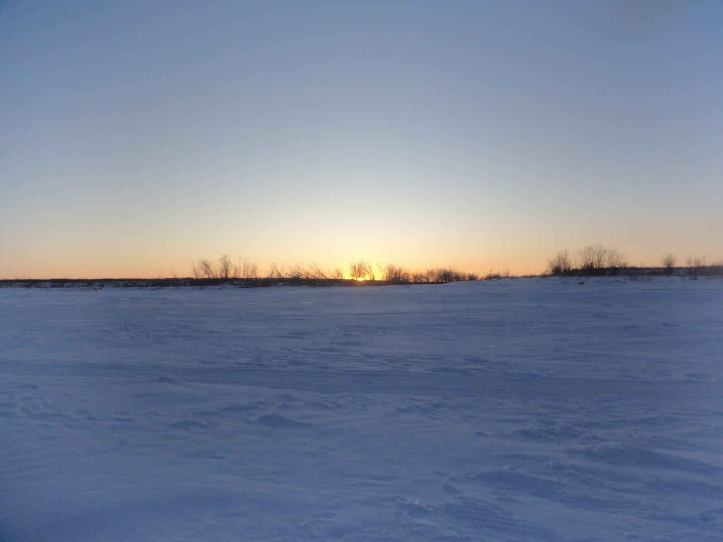 DSC03554.JPG