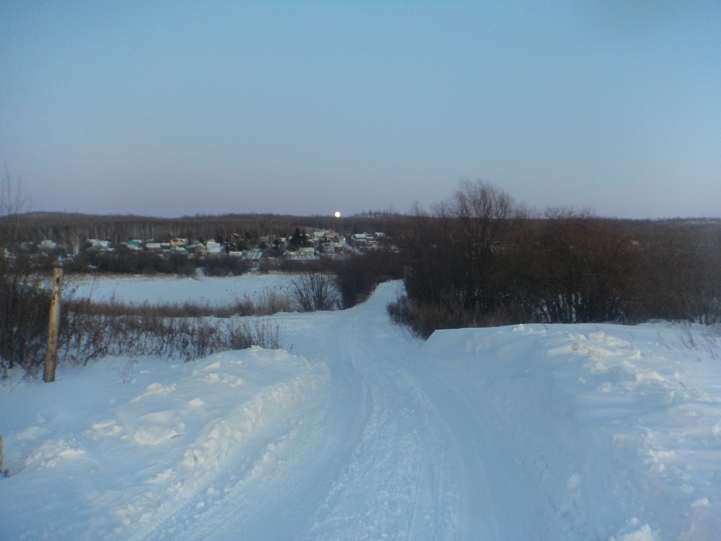 DSC03557.JPG