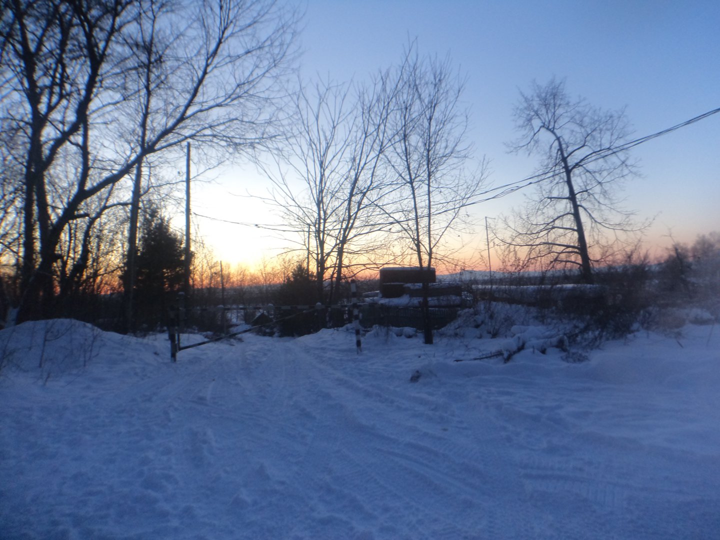 DSC03558.JPG