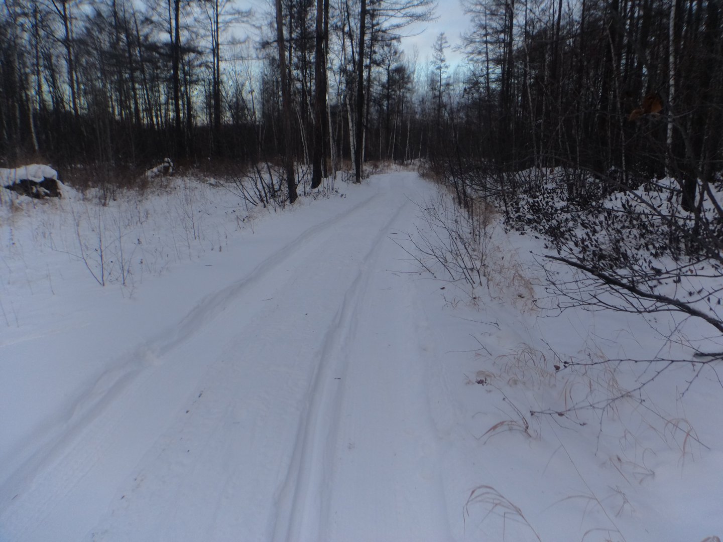 DSC03564.JPG
