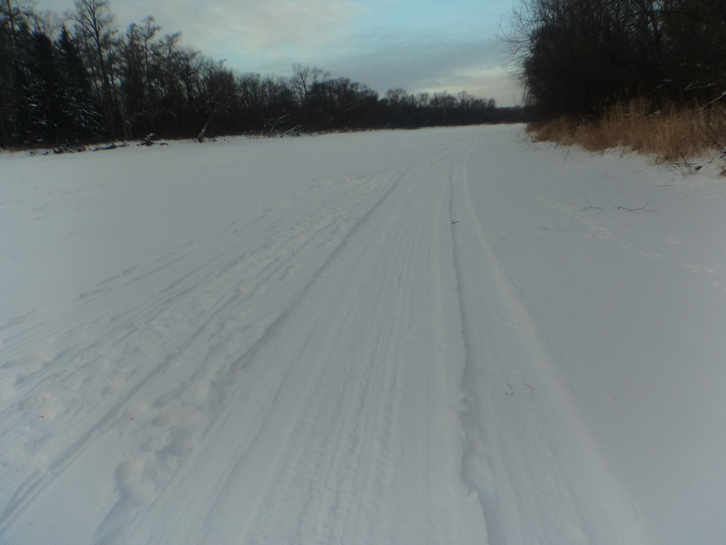 DSC03571.JPG