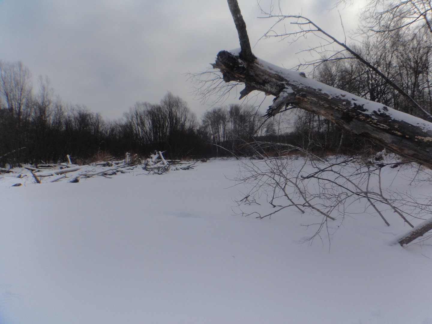 DSC03574.JPG