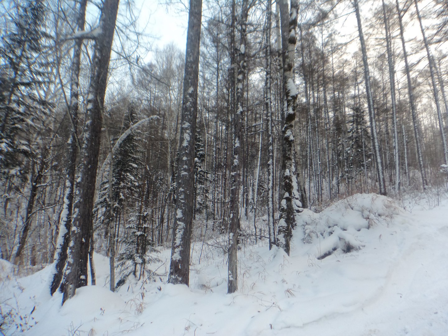 DSC03585.JPG