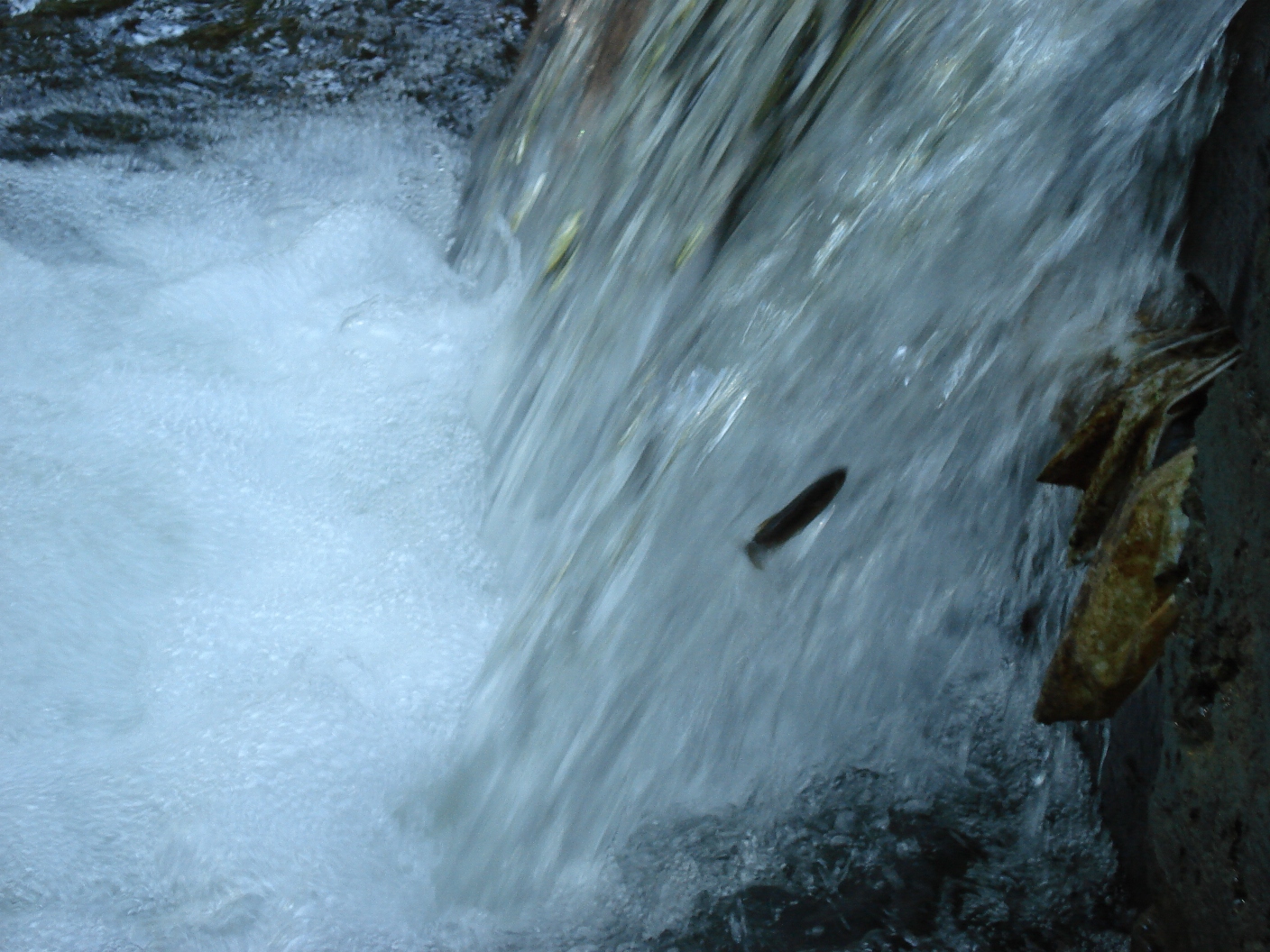 DSC03600.JPG