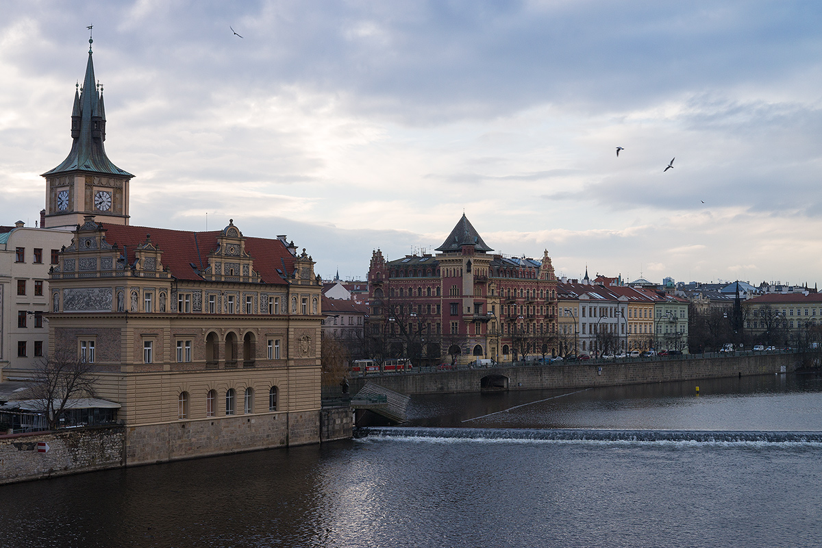 DSC03611.jpg
