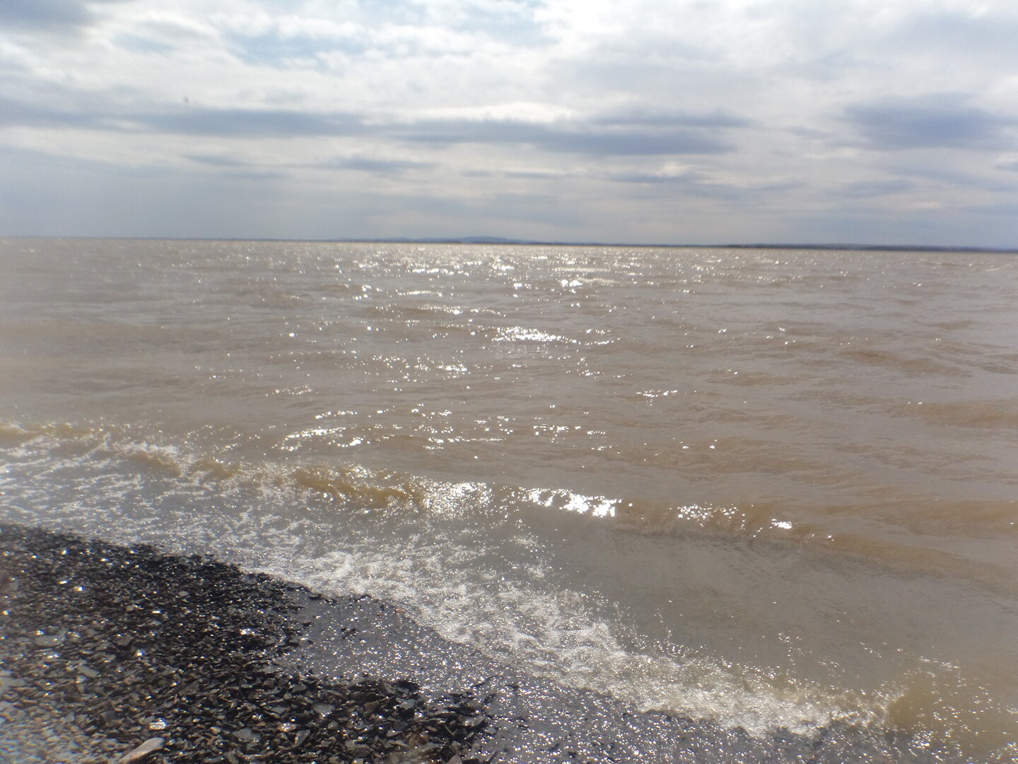 DSC03654.JPG