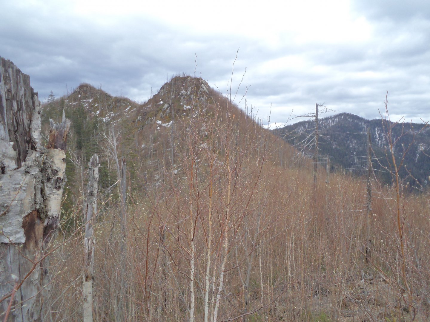 DSC03665.JPG