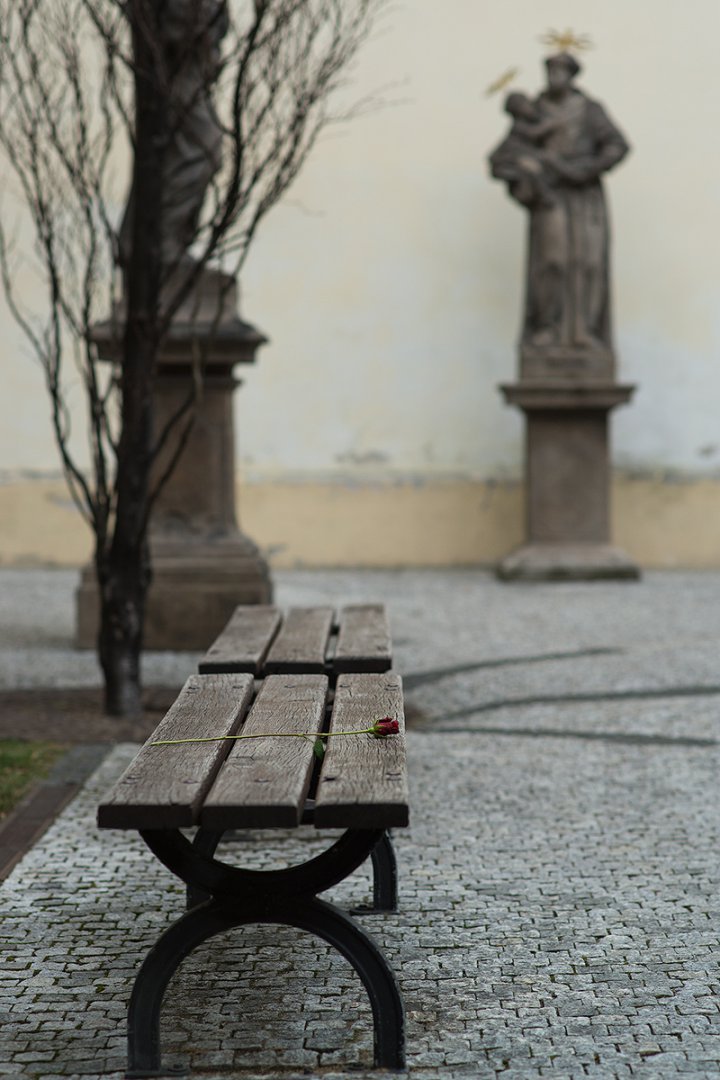 DSC03817.jpg