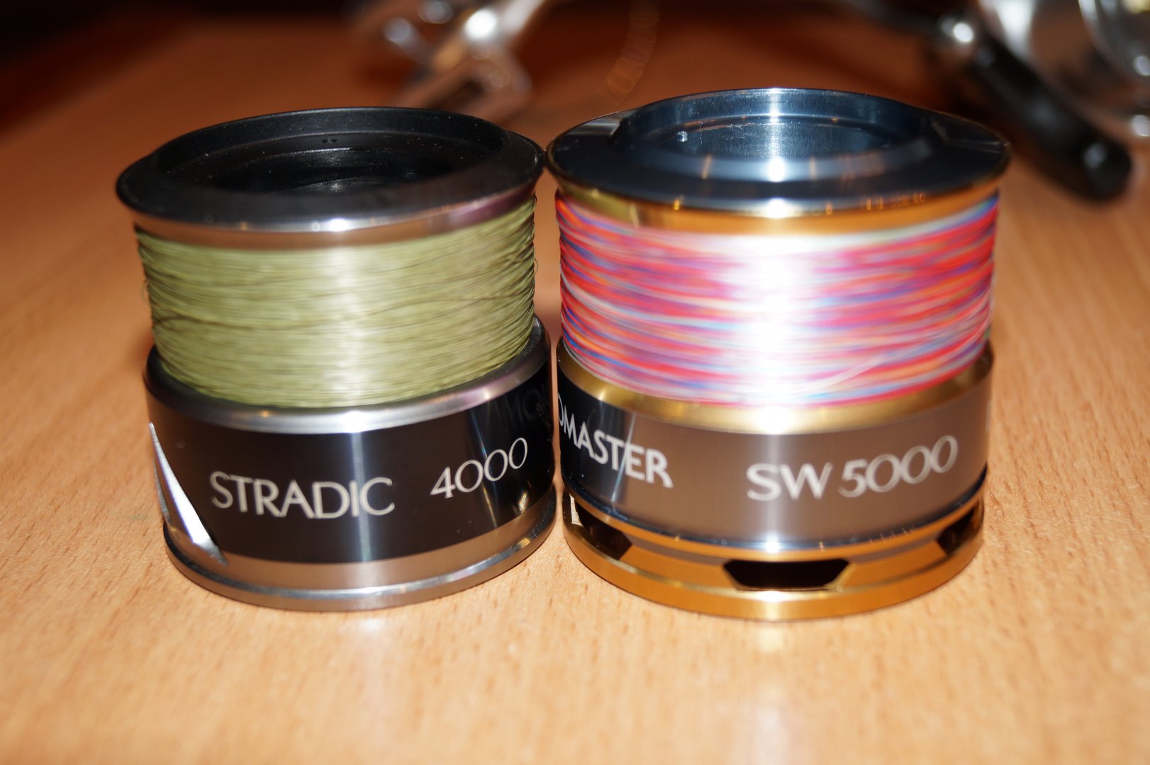 DSC03880.JPG
