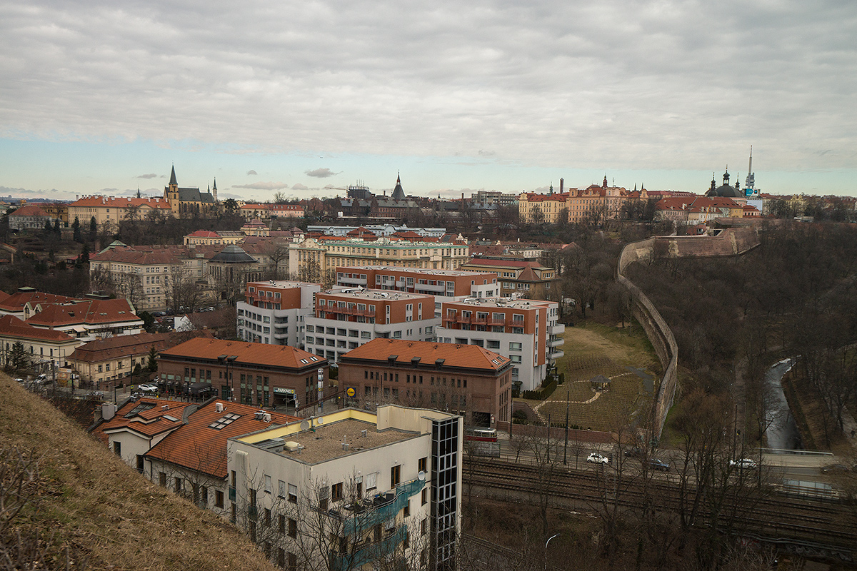 DSC03920.jpg