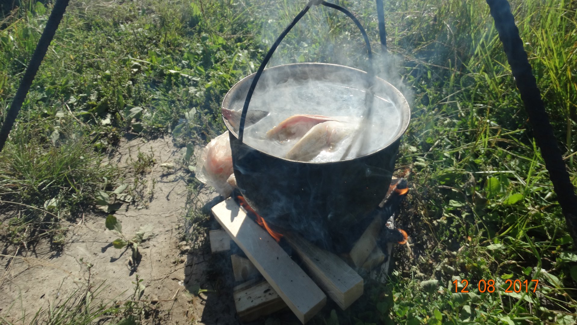 DSC03954.JPG