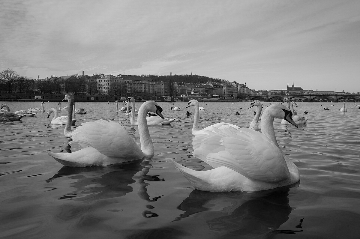 DSC03964.jpg