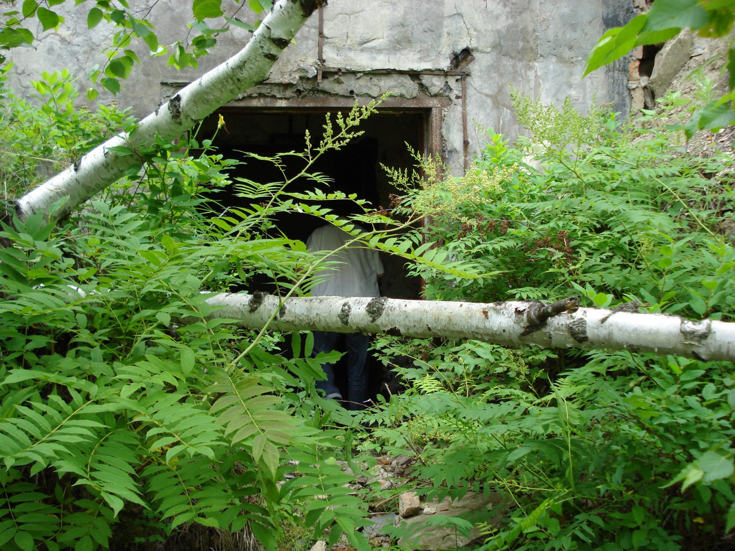 DSC04008.JPG