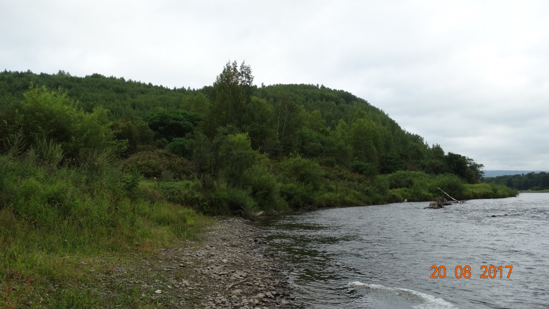 DSC04011.JPG