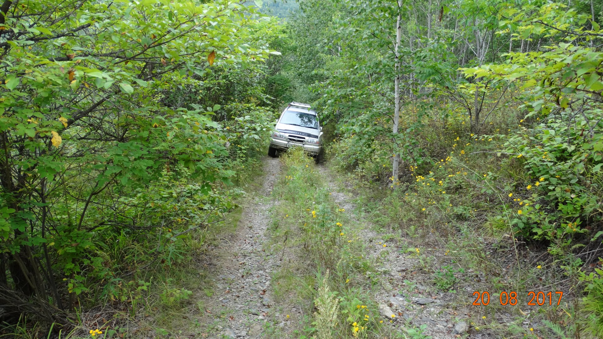 DSC04015.JPG