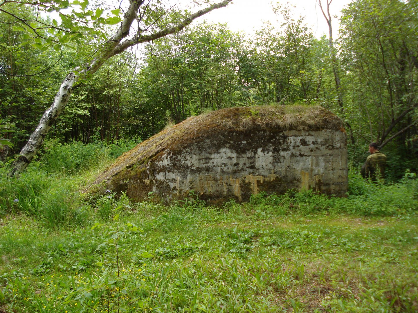 DSC04039.JPG