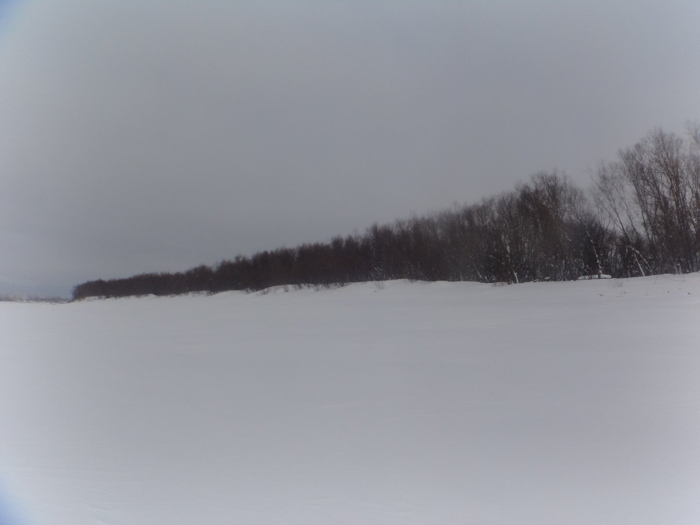 DSC04039.JPG