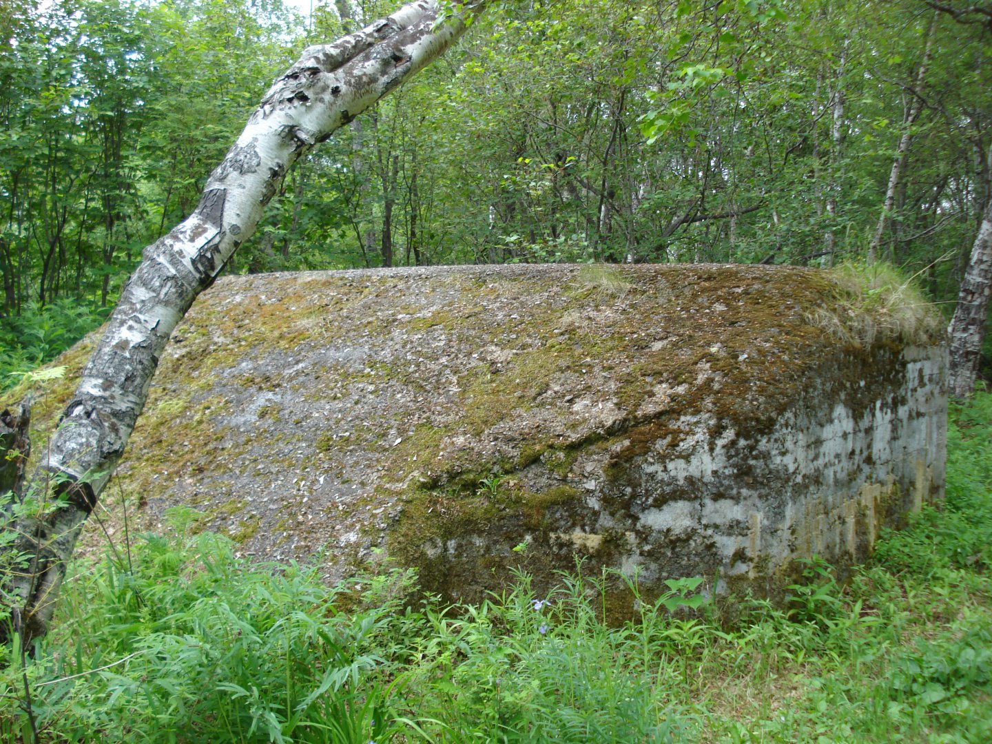 DSC04040.JPG