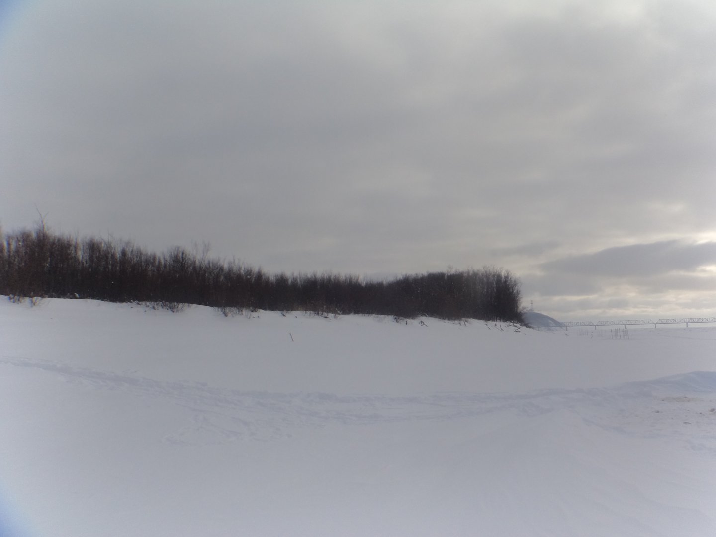 DSC04040.JPG