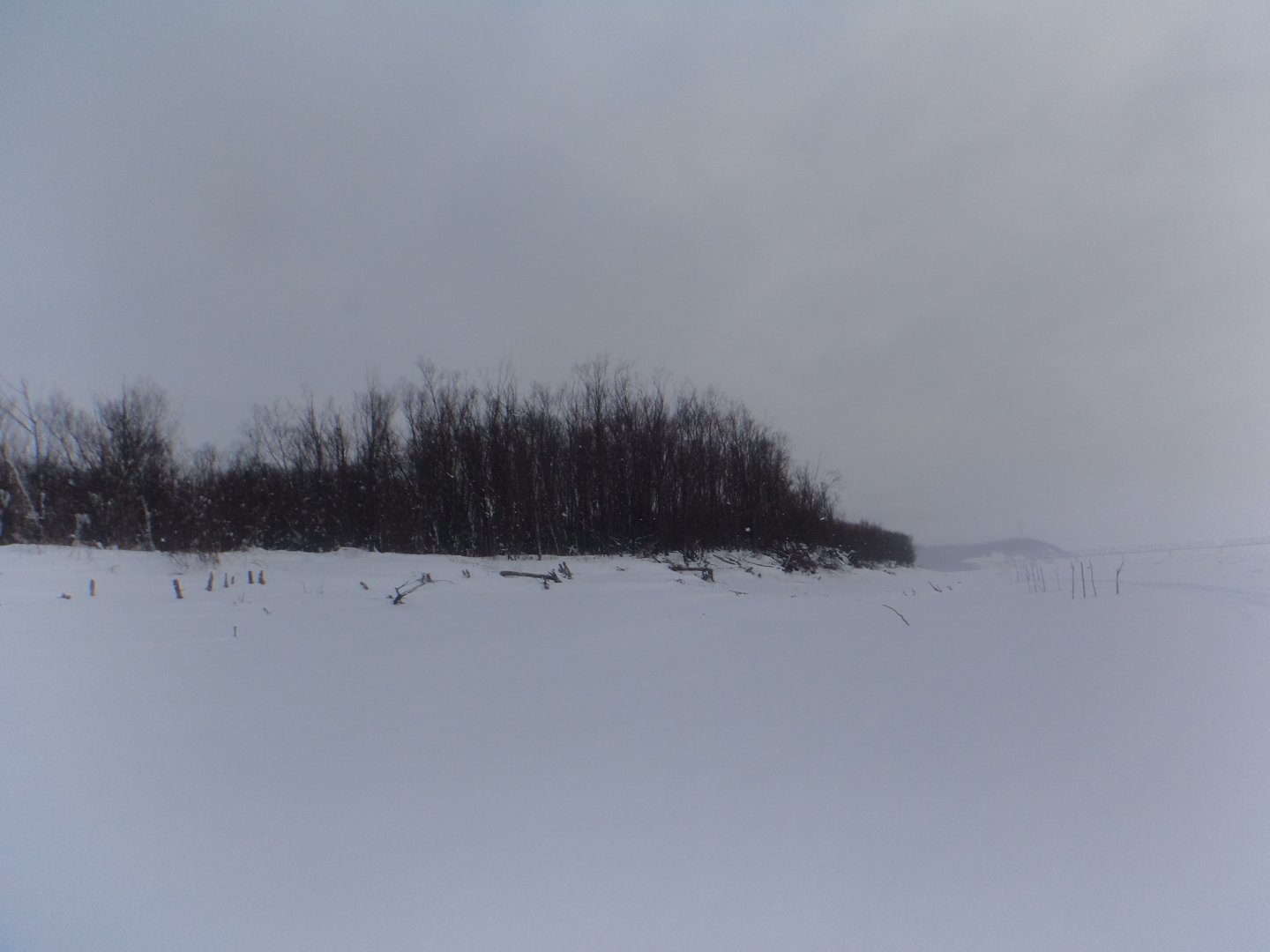 DSC04056.JPG