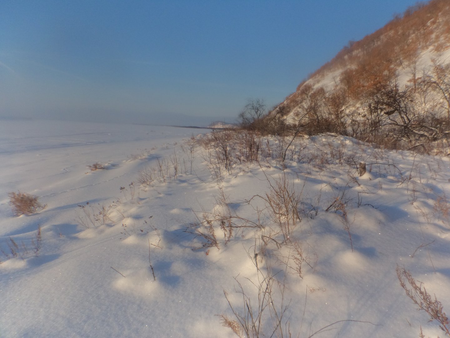 DSC04094.JPG