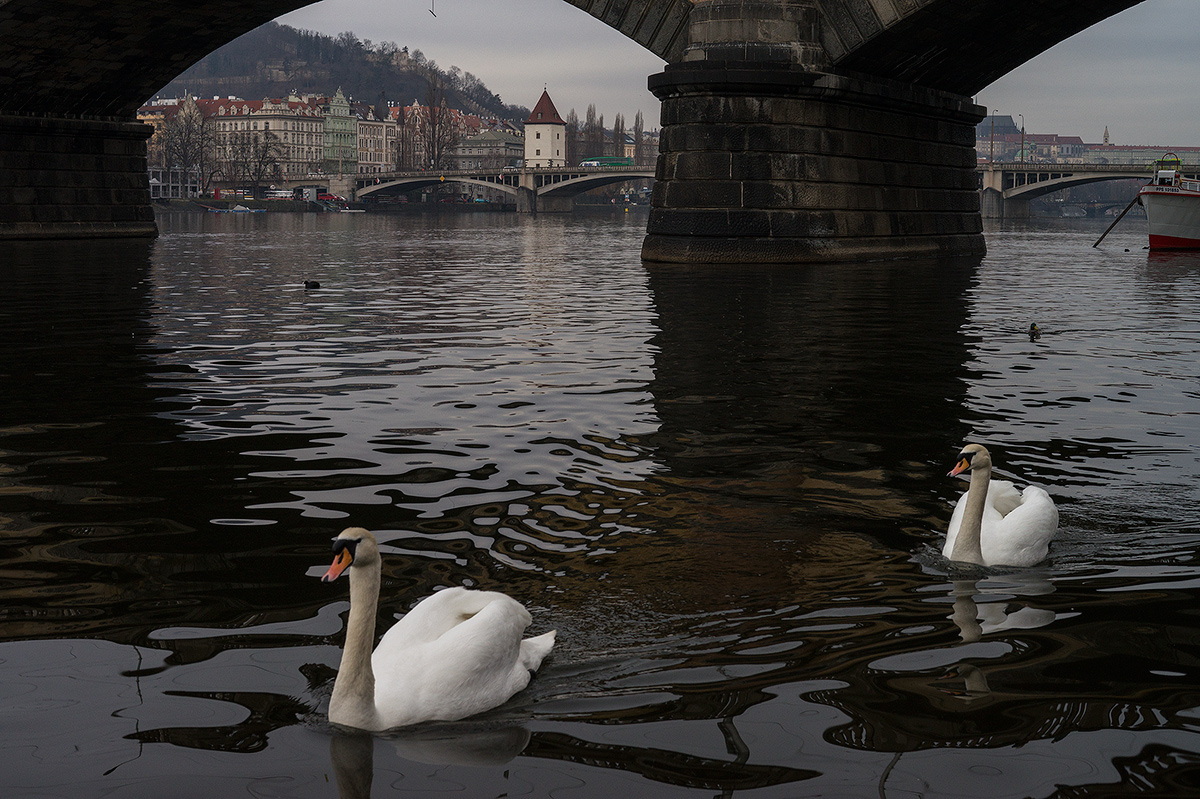 DSC04095.jpg
