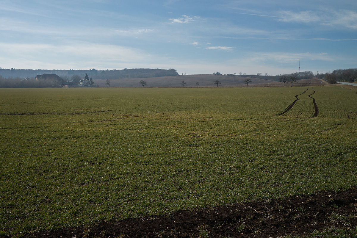DSC04139.jpg