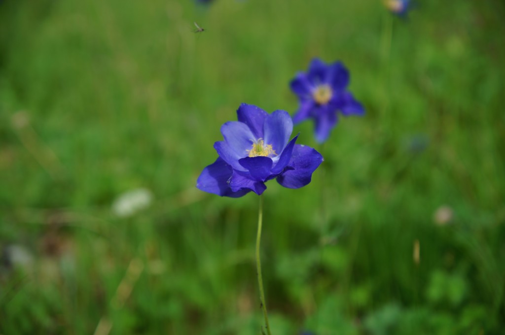 DSC04153.jpg