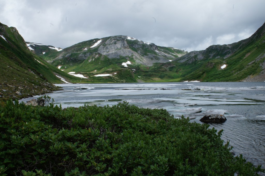 DSC04173.jpg