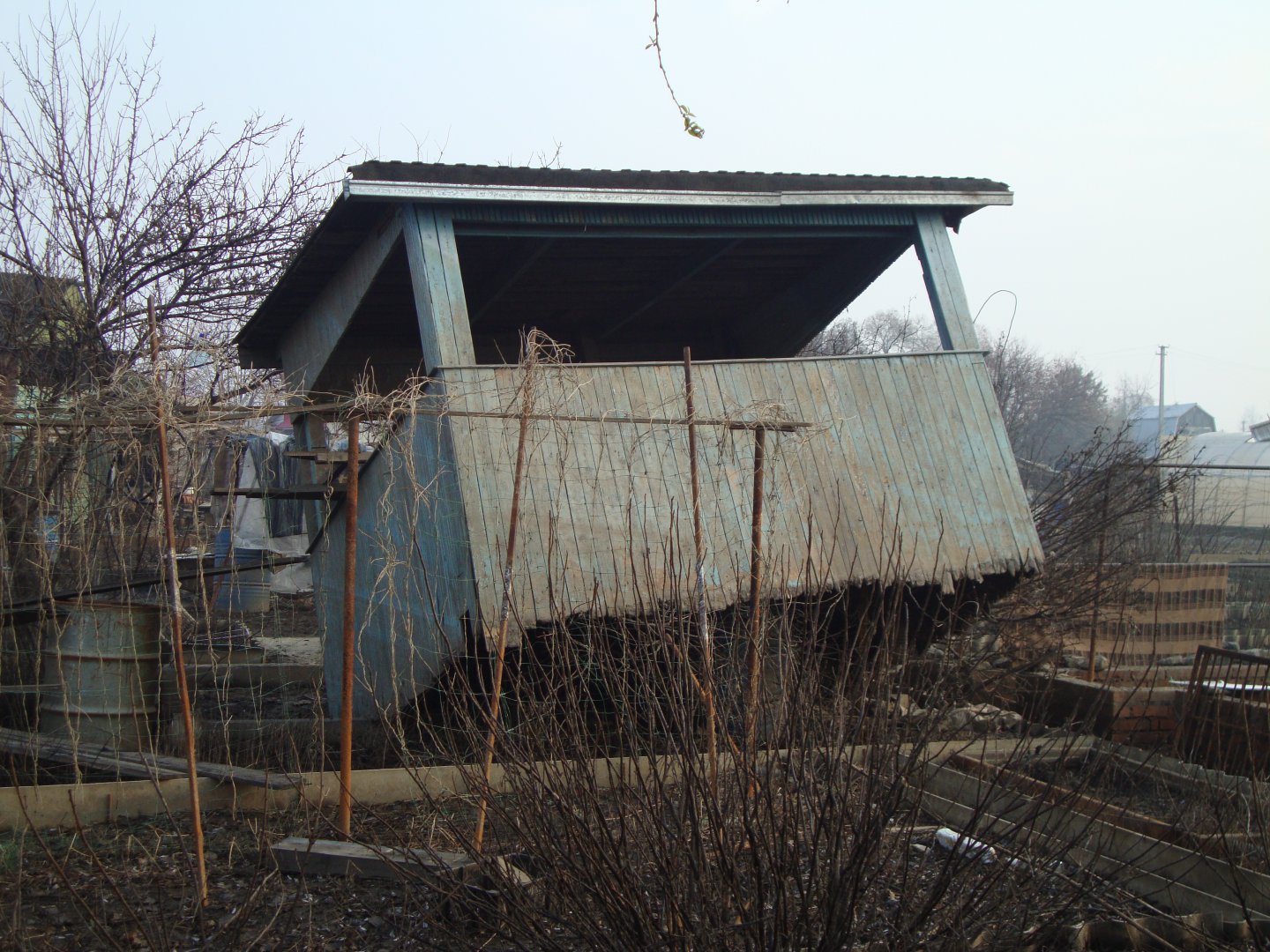 DSC04225.JPG
