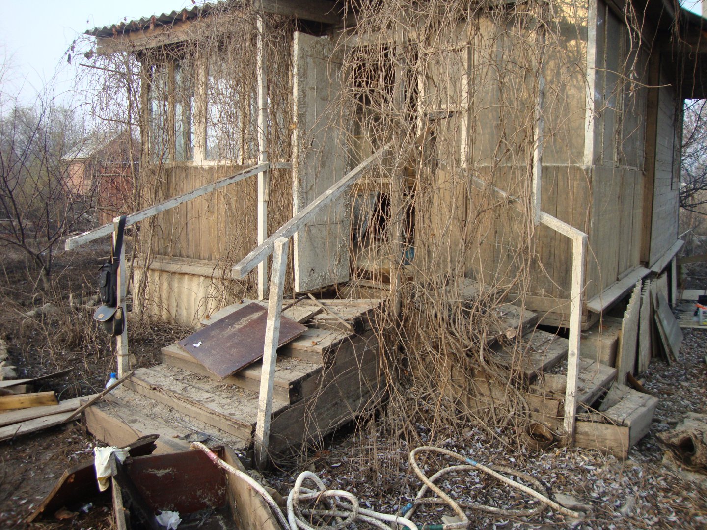 DSC04226.JPG