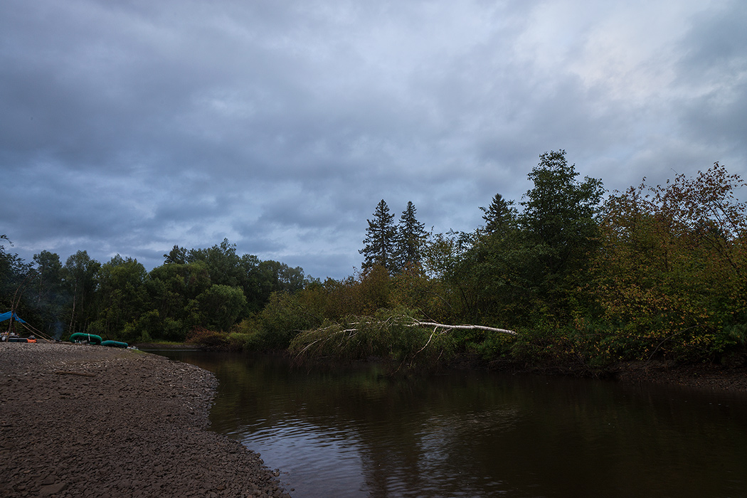 DSC04233.jpg