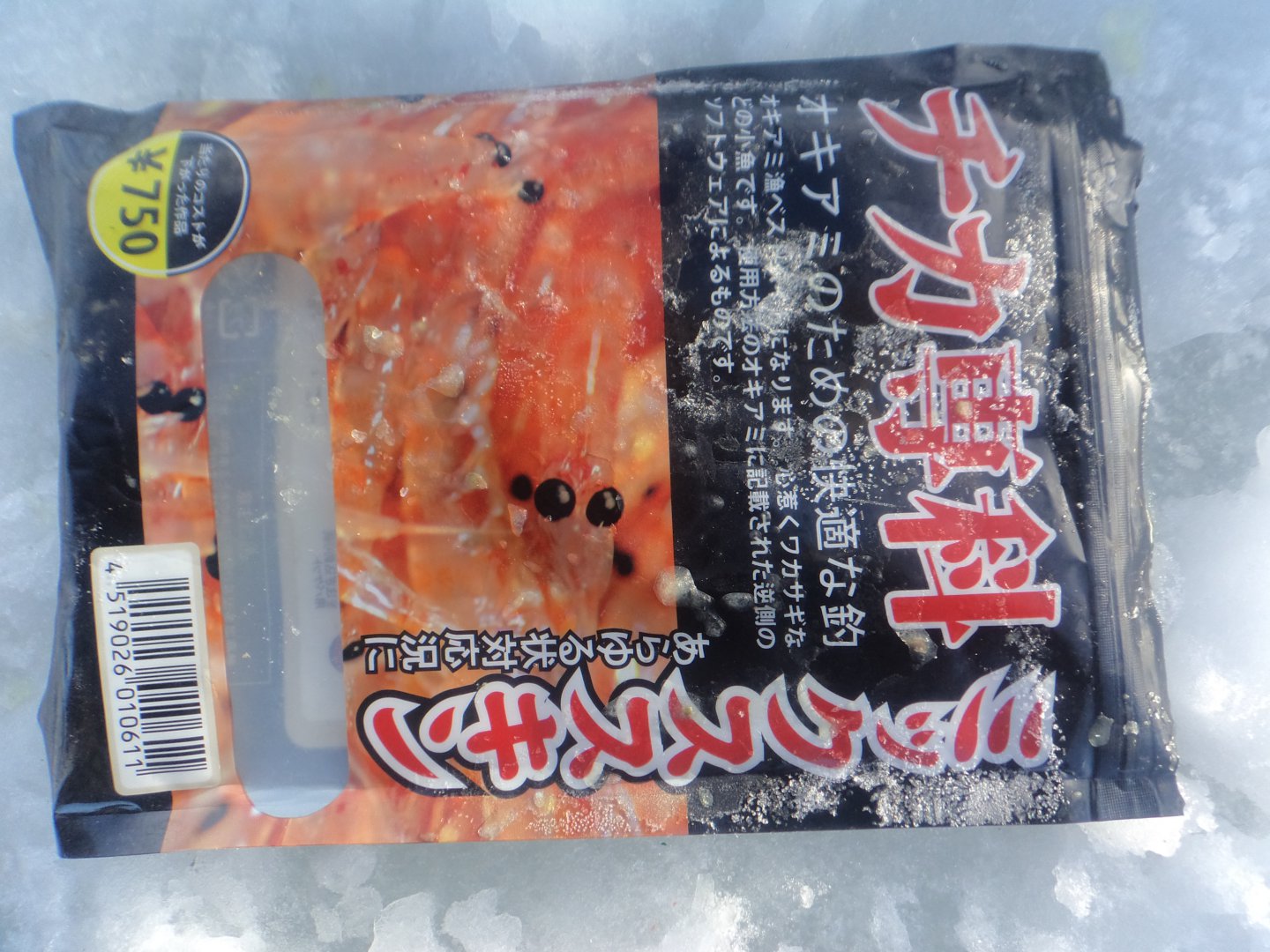 DSC04238.JPG