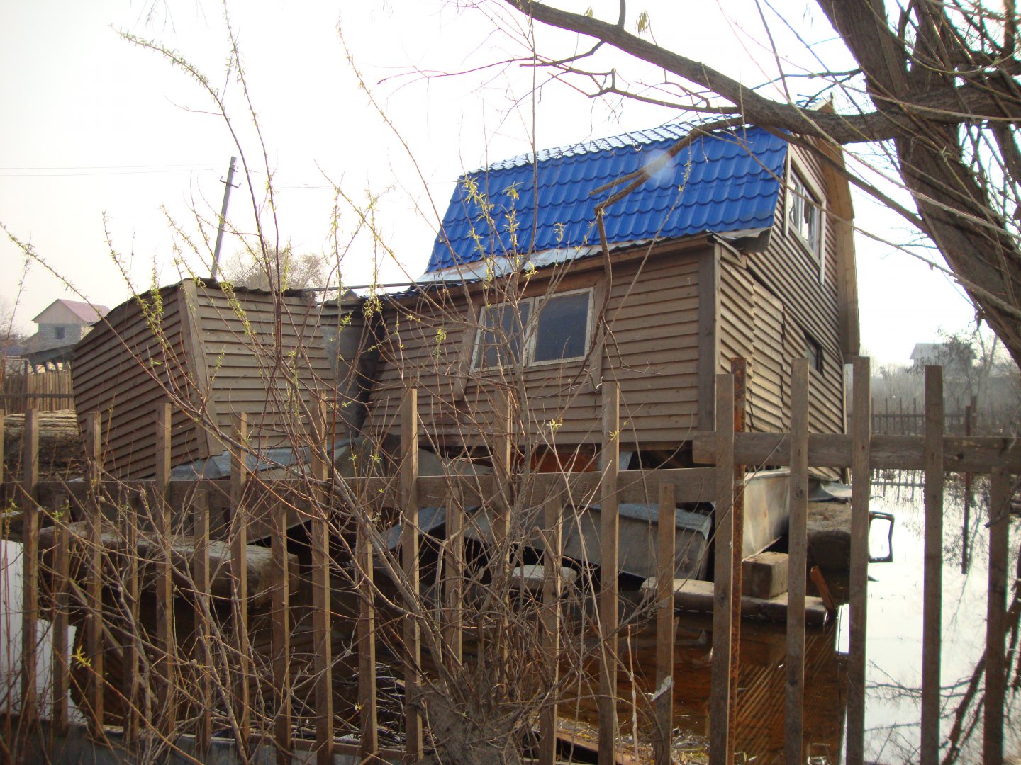 DSC04241.JPG