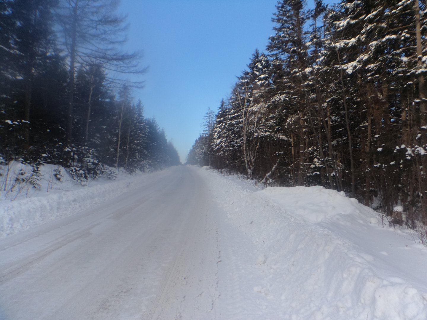 DSC04250.JPG