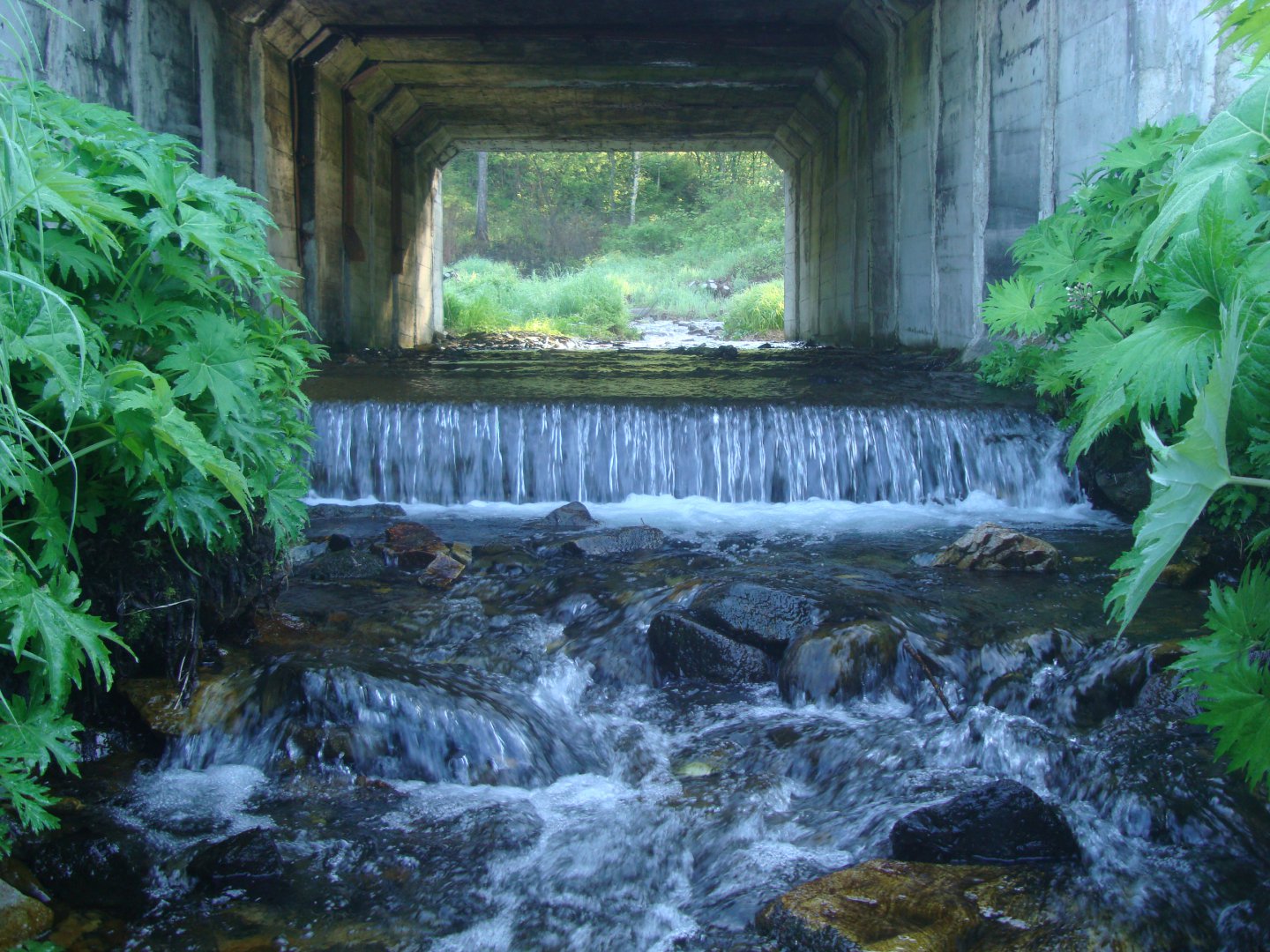 DSC04274.JPG