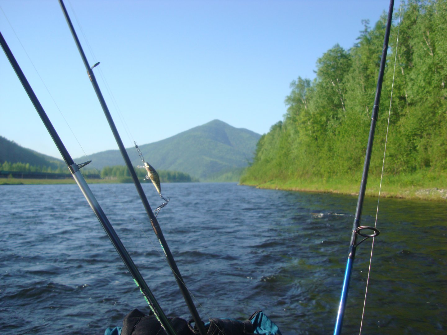 DSC04278.JPG