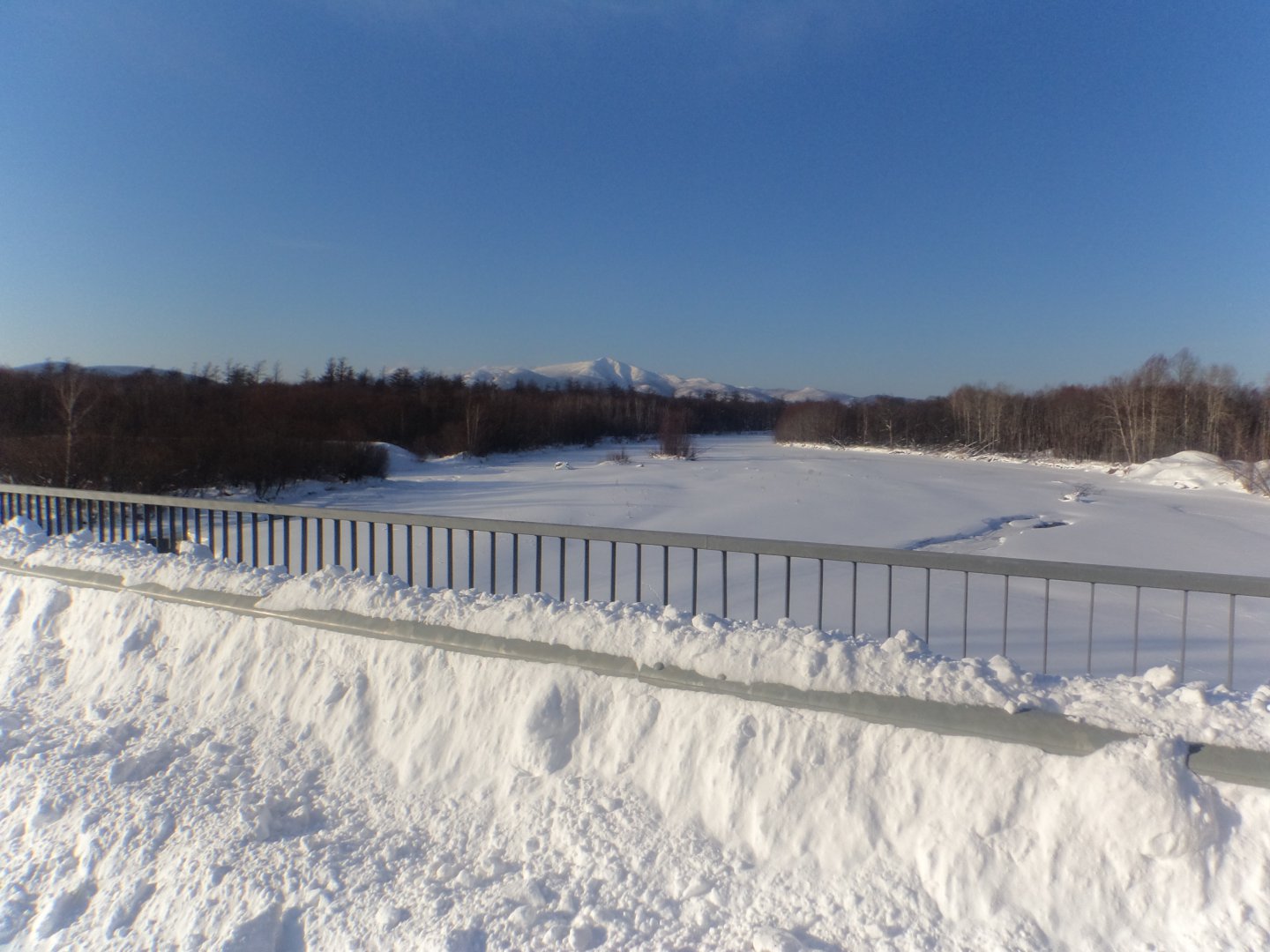 DSC04278.JPG