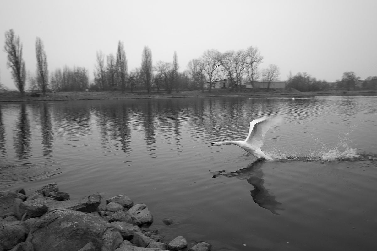 DSC04283.jpg