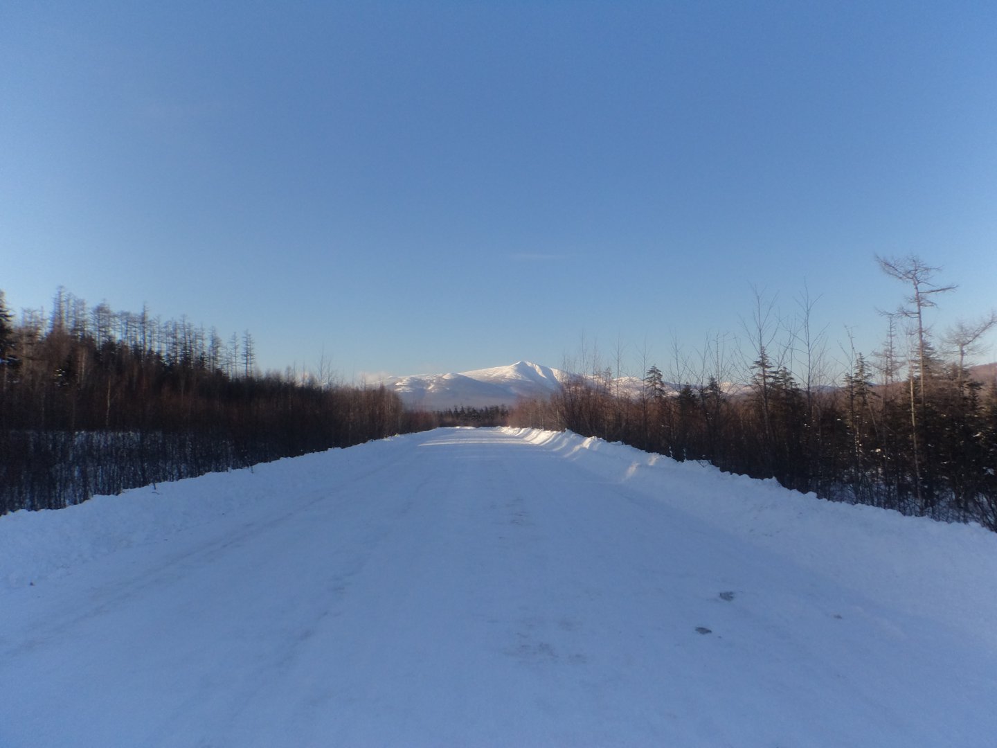 DSC04284.JPG