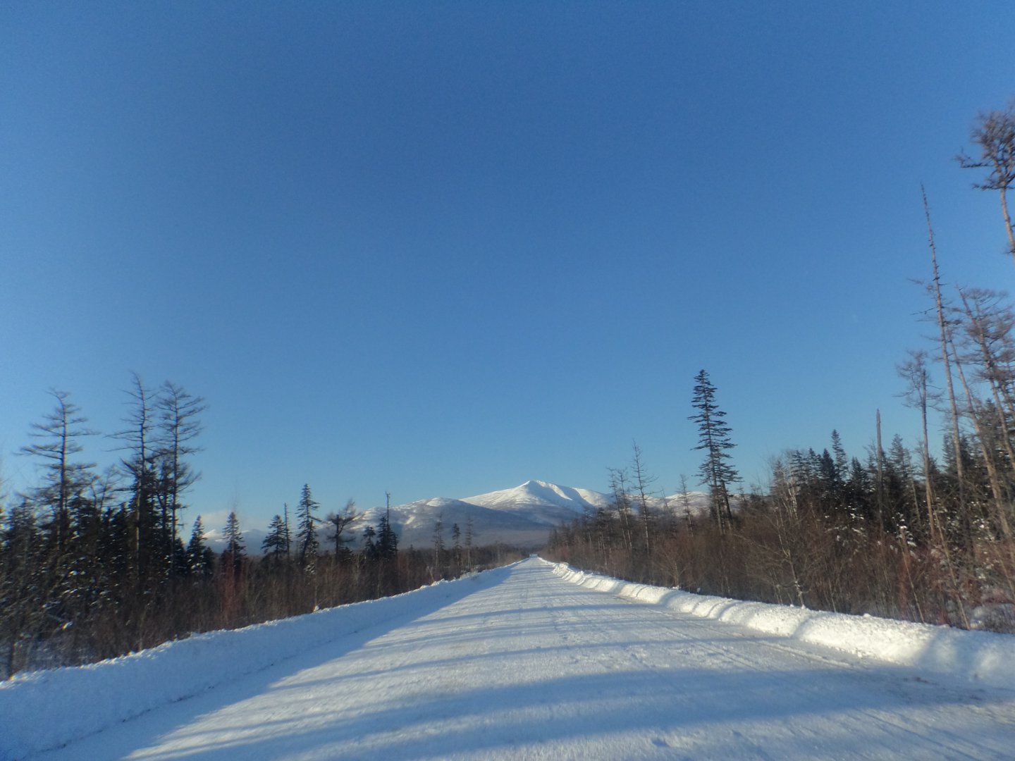 DSC04287.JPG